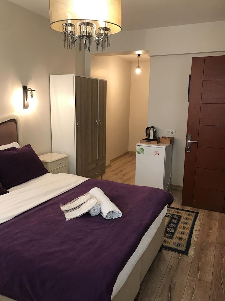 TAKSIM SOUSHIAN HOTEL — ISTANBUL — фотография отеля №8