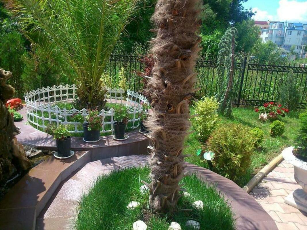 BAHAMI RESIDENCE — SUNNY BEACH — фотография отеля №9