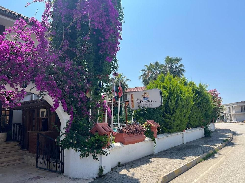 HOTEL PALMA ROSA — CAMYUVA — фотография отеля №16