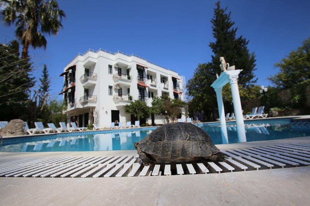 GREEN VALLEY BOUTIQUE HOTEL — KEMER — фотография отеля №29