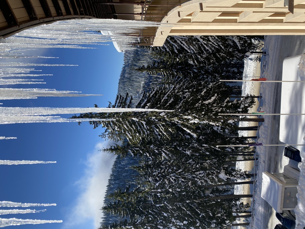 ORPHEUS — PAMPOROVO — фотография отеля №47