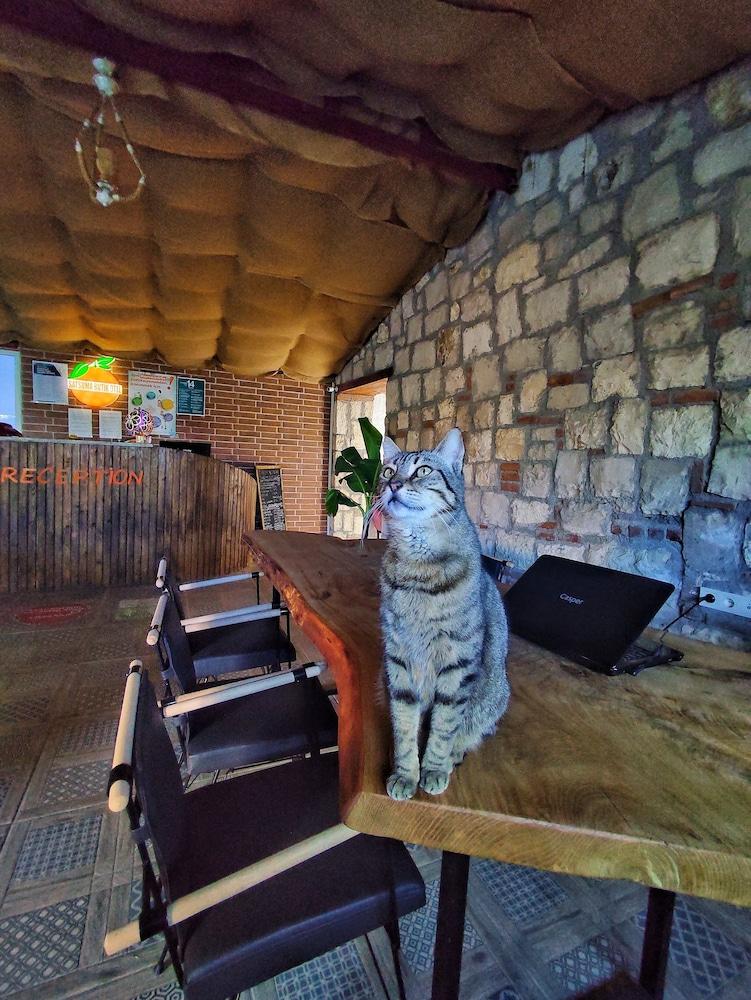 SATSUMA BUTIK OTEL — SEFERIHISAR — fotografie hotel nr. 6