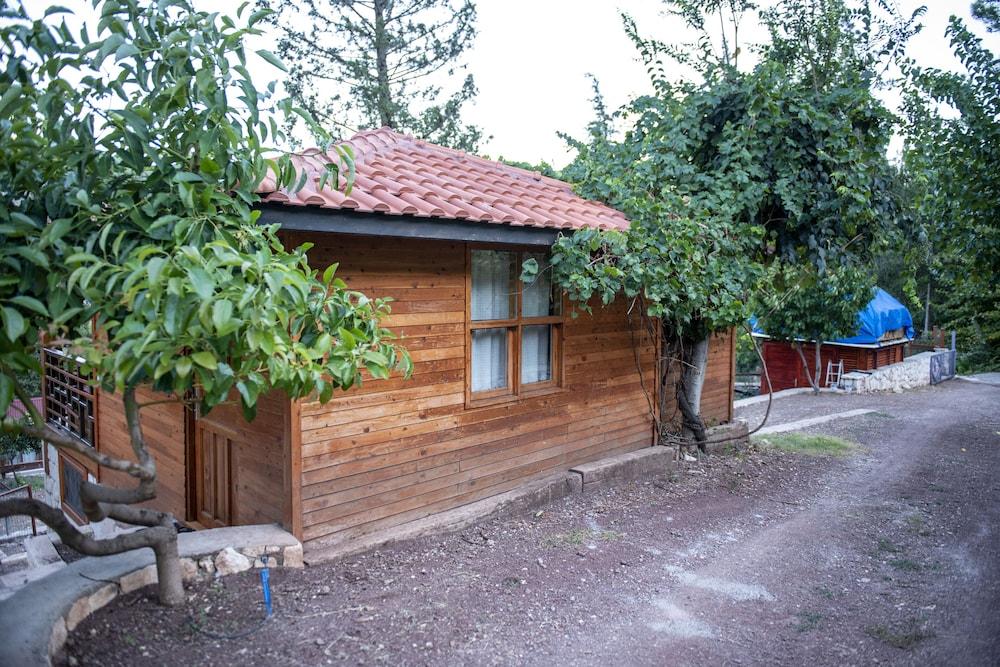 TRINITYS ULUPINAR — KEMER — фотография отеля №35