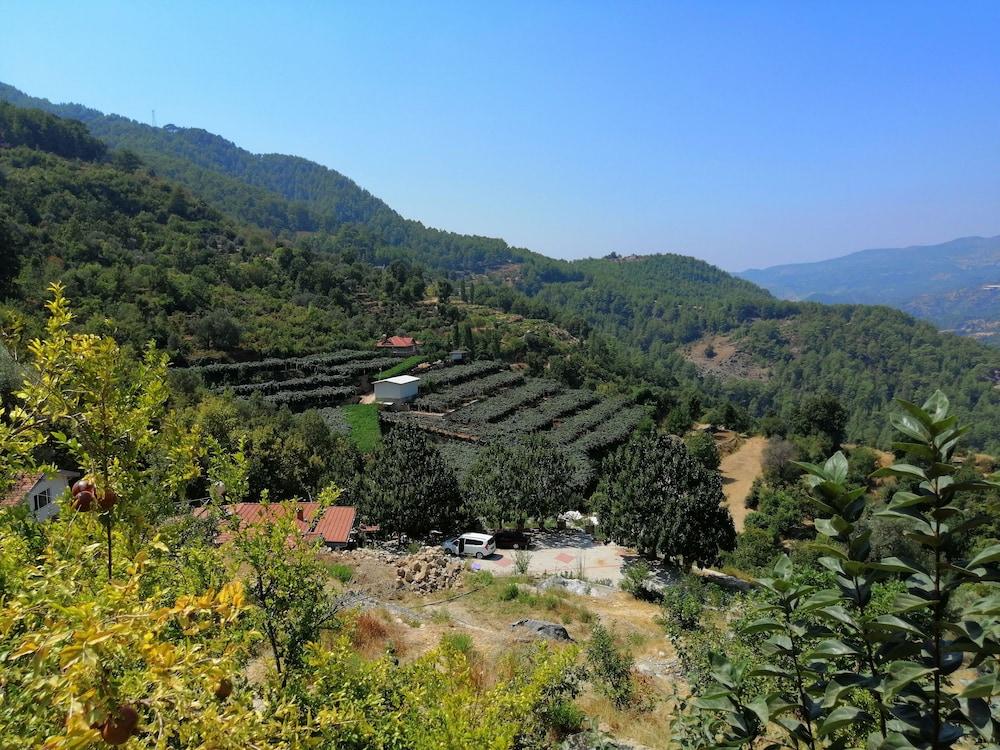 AVENA MOUNTAIN BOUTIQUE HOTEL (ADULTS ONLY) — ALANYA — фотография отеля №33