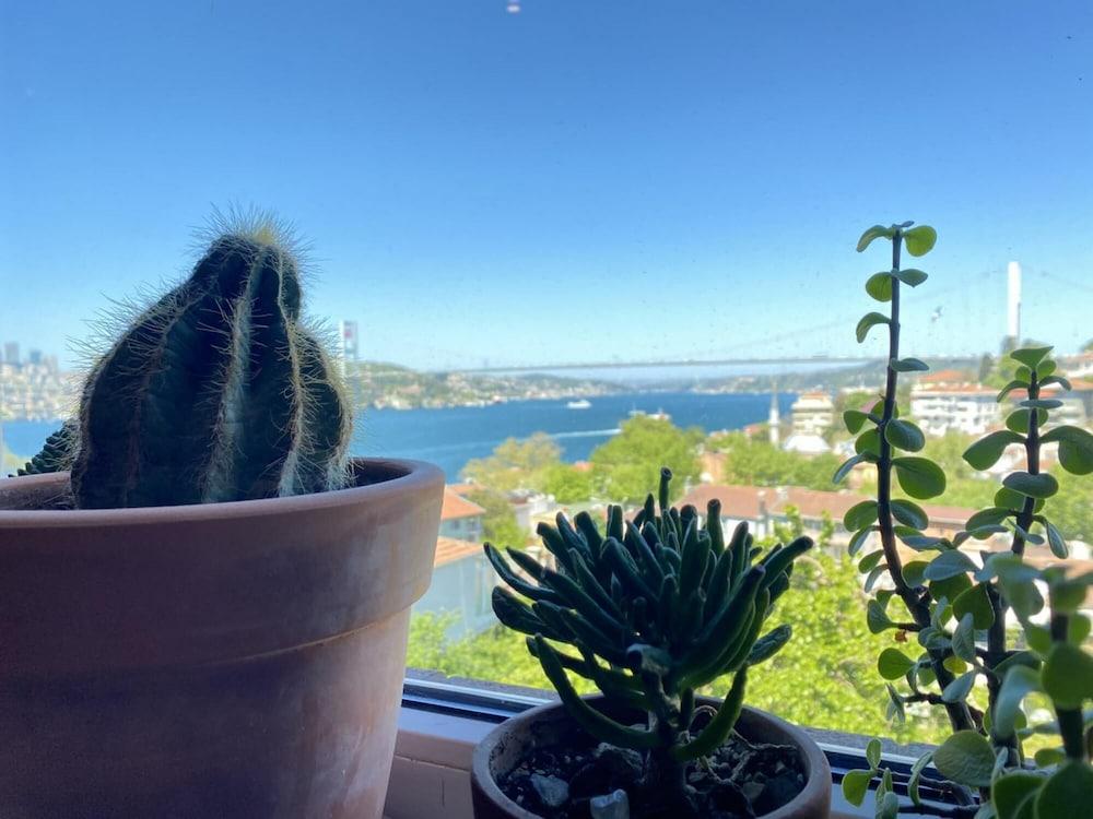 FLAT WITH BOSPHORUS VIEW AND BACKYARD IN USKUDAR — ISTANBUL — фотография отеля №4