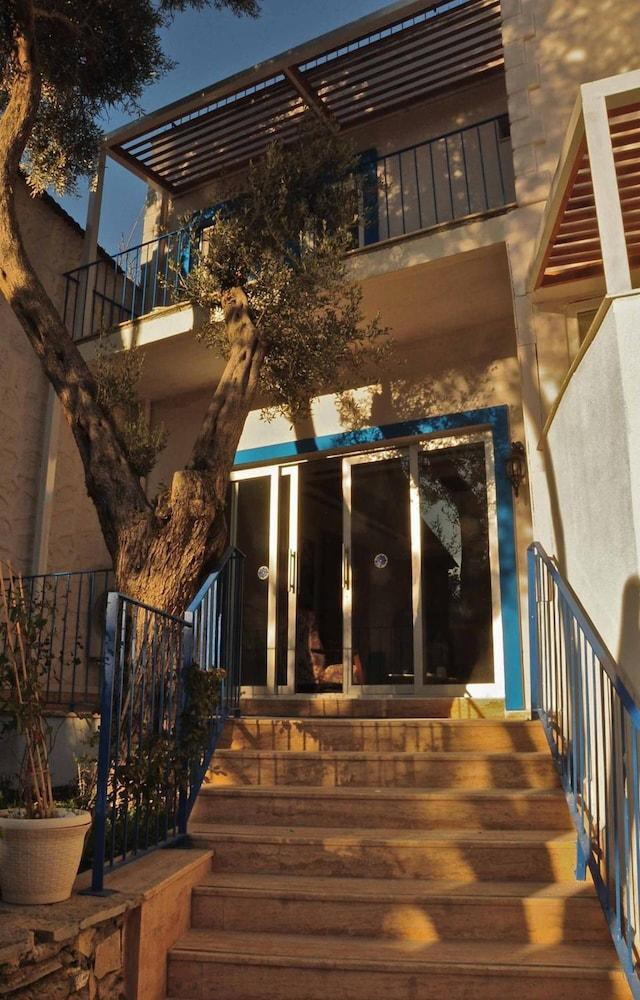 ZENA HOTEL BODRUM (ADULTS ONLY) — BODRUM — фотография отеля №31