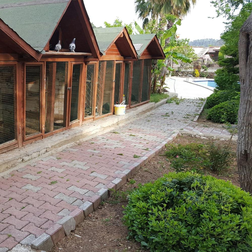 ORANJ RANCH (ORANGE & RANCH) — CAMYUVA — fotografie hotel nr. 20