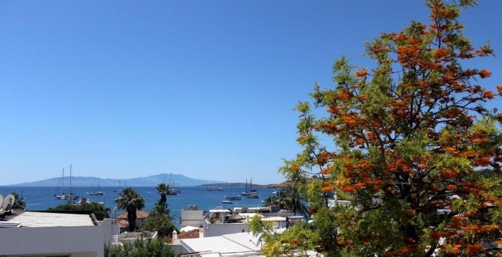 AGAN BUTIK PANSIYON — BODRUM — fotografie hotel nr. 13