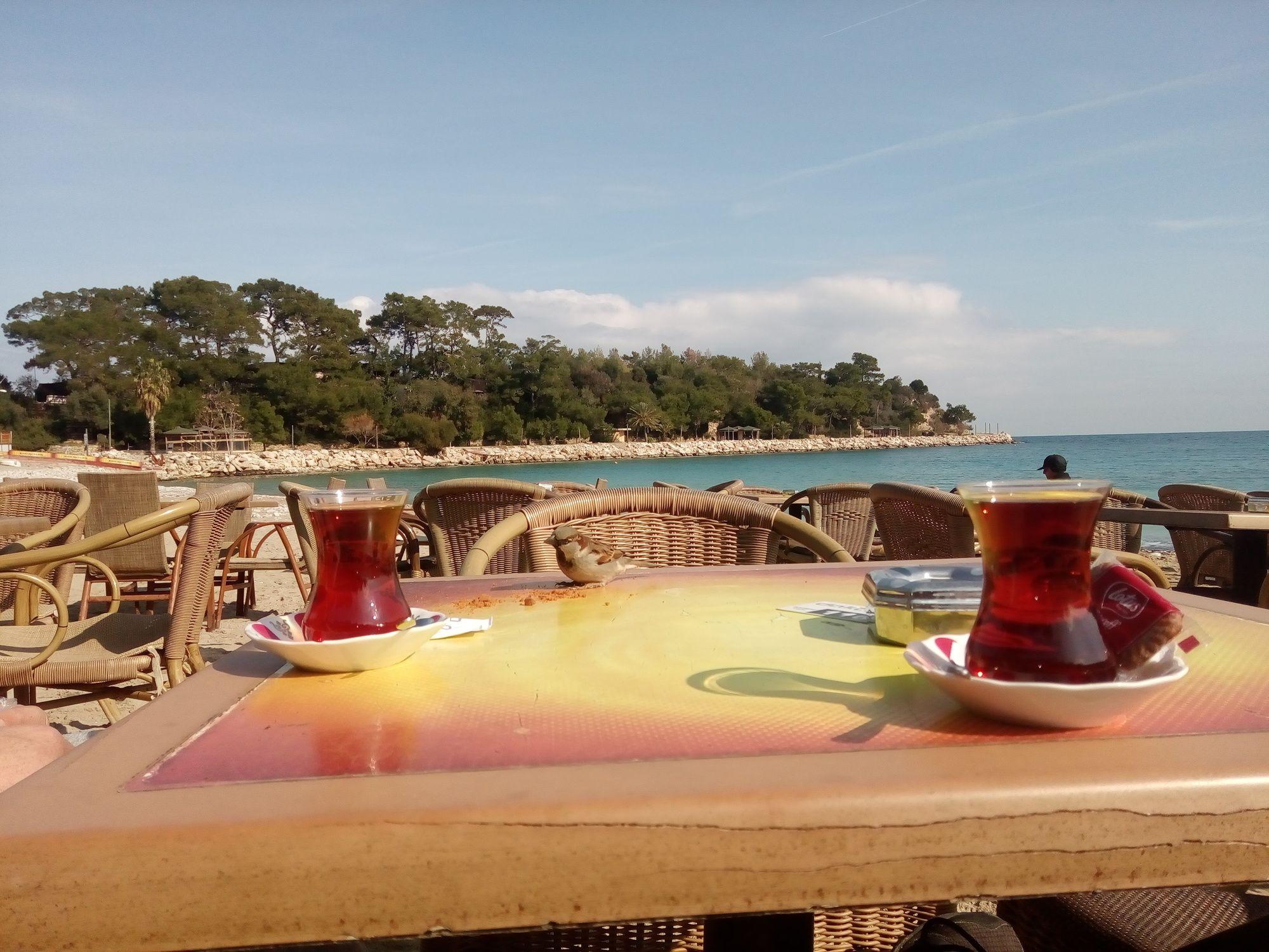 GARDEN PRIZMA PENSION — KEMER — фотография отеля №37