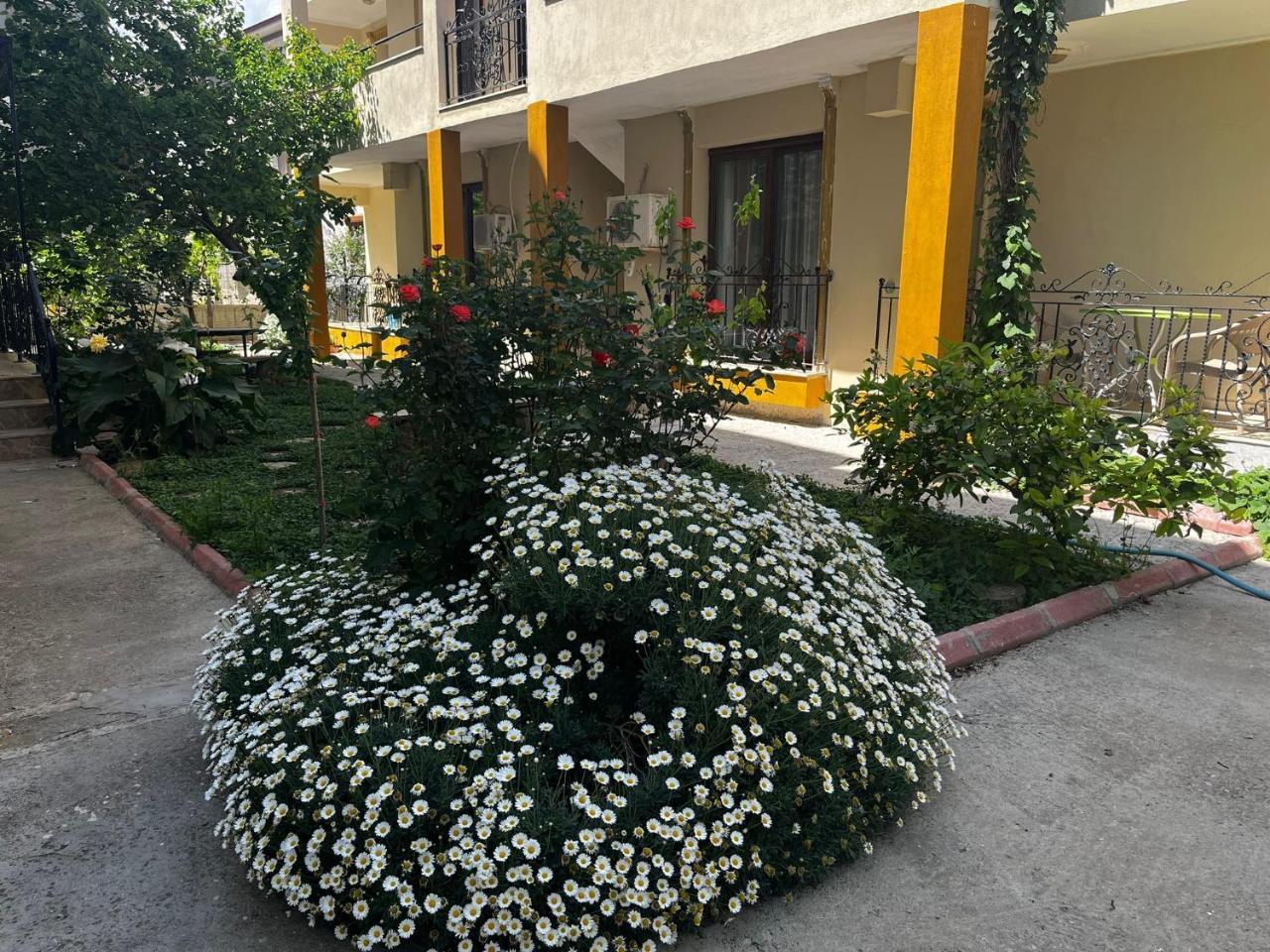 TEOS INN HOLIDAY APARTMENTS — SEFERIHISAR — фотография отеля №27