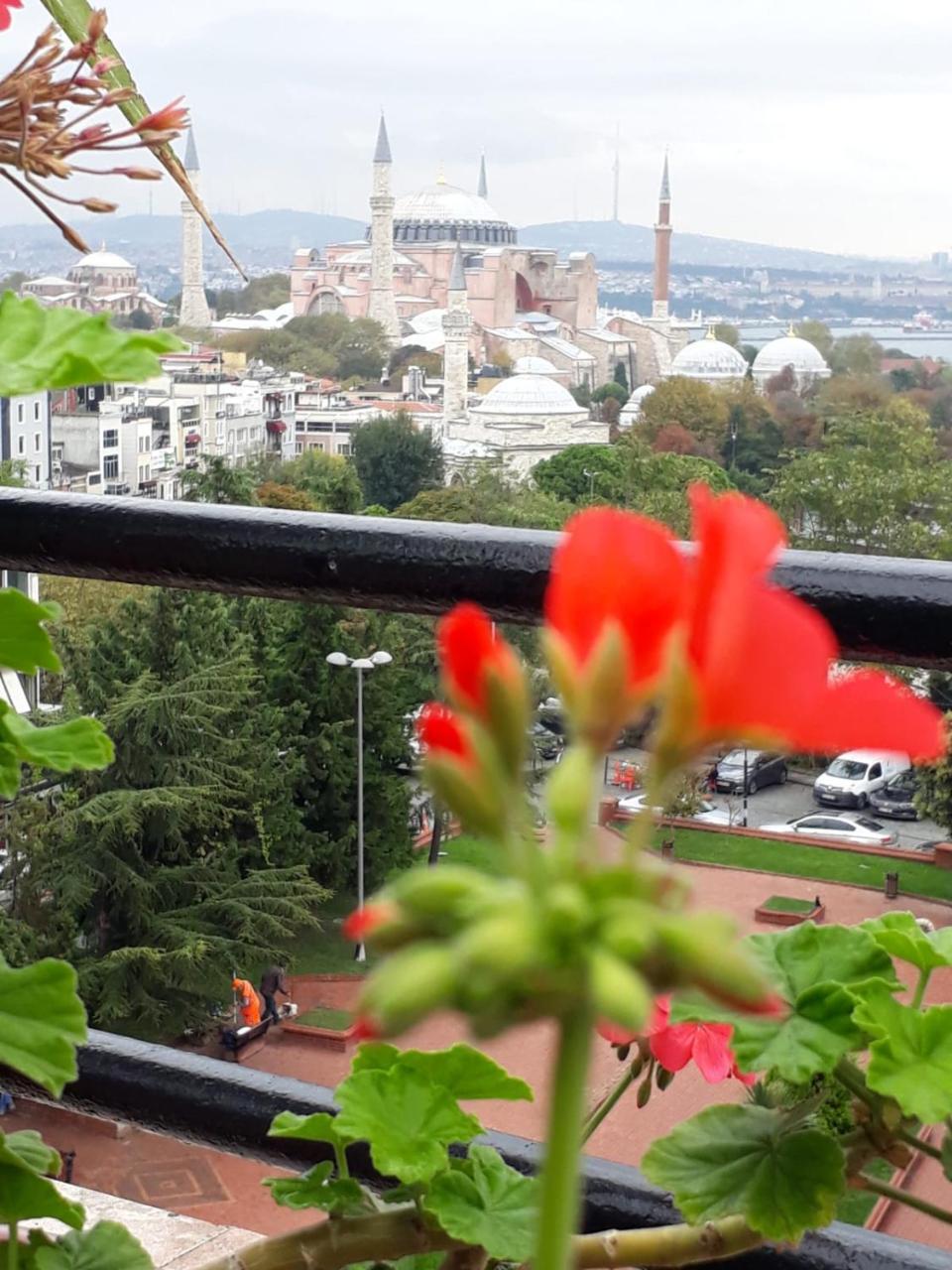 HOTEL HALI — ISTANBUL — fotografie hotel nr. 18