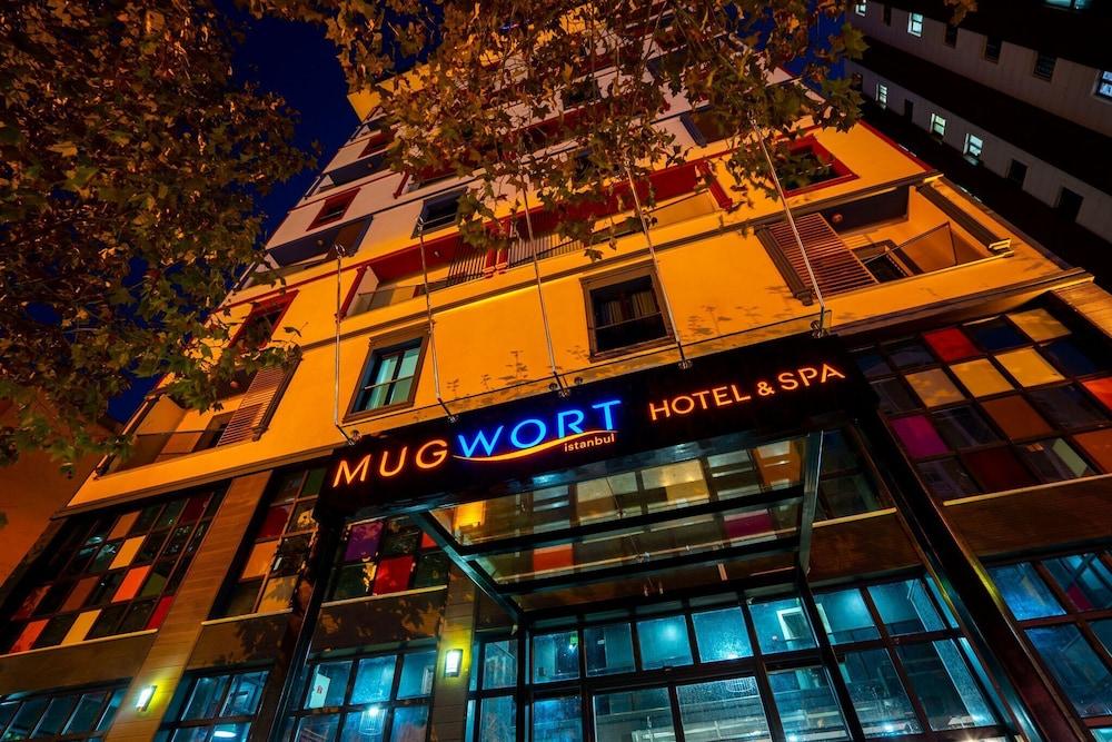 MUGWORT HOTEL & SPA — ISTANBUL — fotografie hotel nr. 33