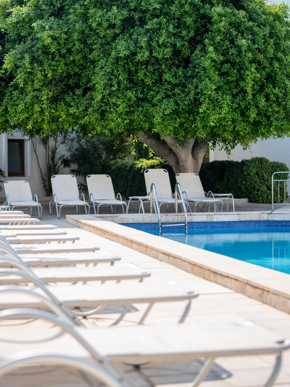 SECKIN KONAKLAR — BODRUM — фотография отеля №9