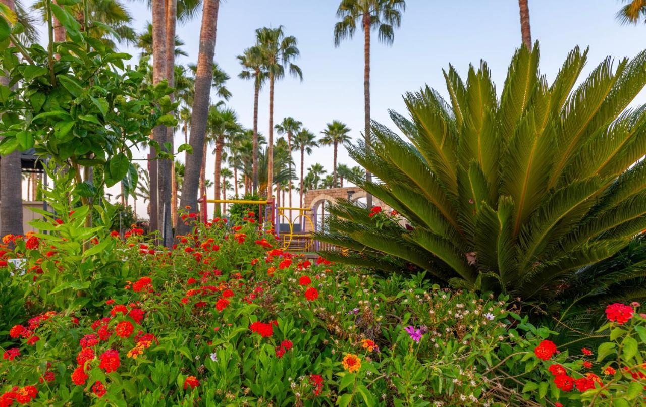 MERYAN HOTEL — ALANYA — fotografie hotel nr. 14
