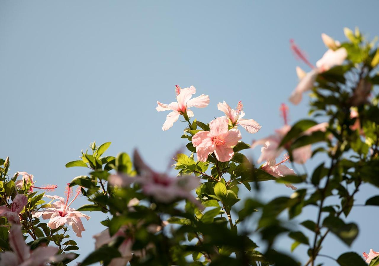 KARIA PRINCESS — BODRUM — fotografie hotel nr. 17