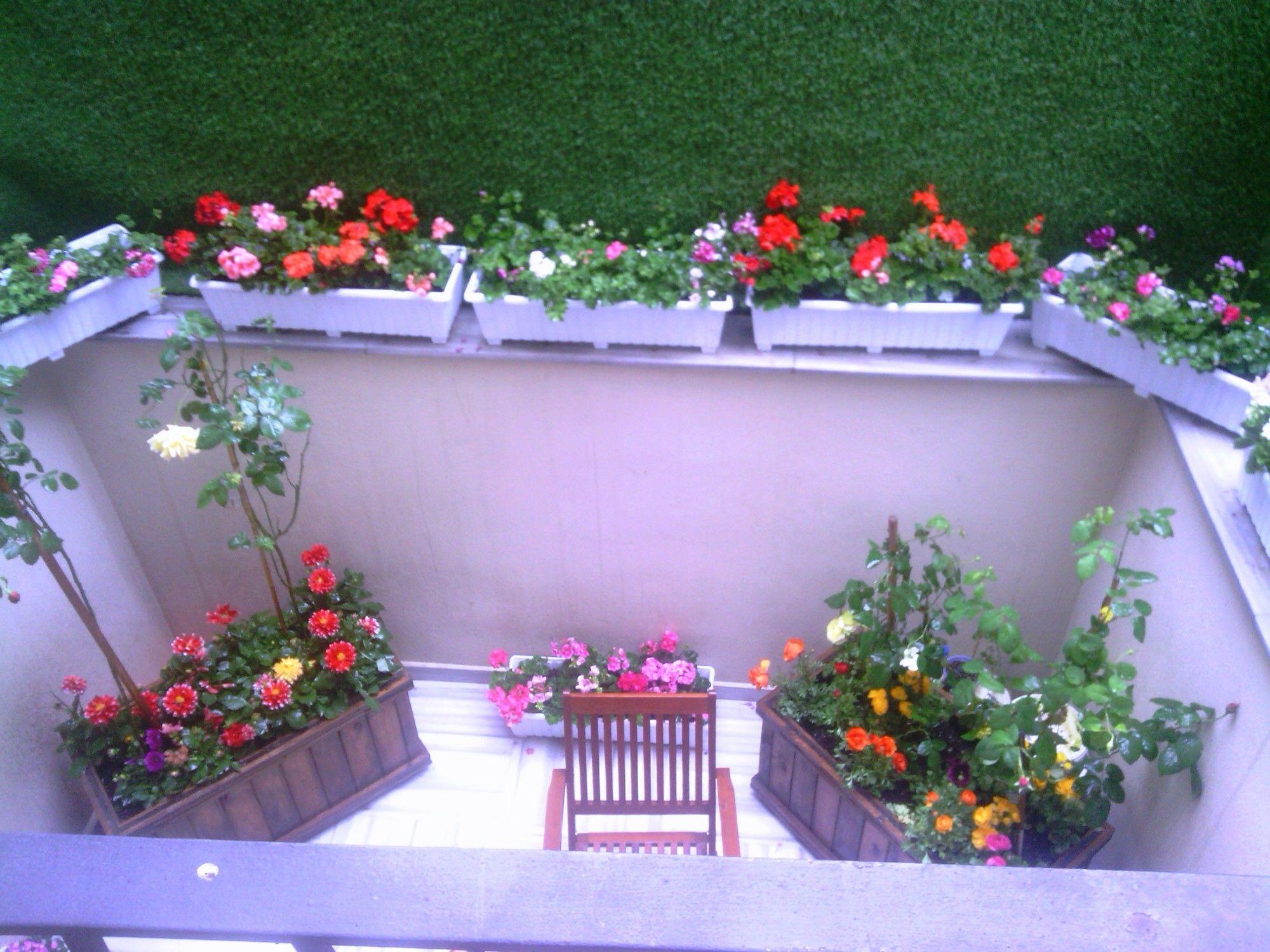 CALANTHE RESIDENCE (ADULTS ONLY) — ISTANBUL — fotografie hotel nr. 7