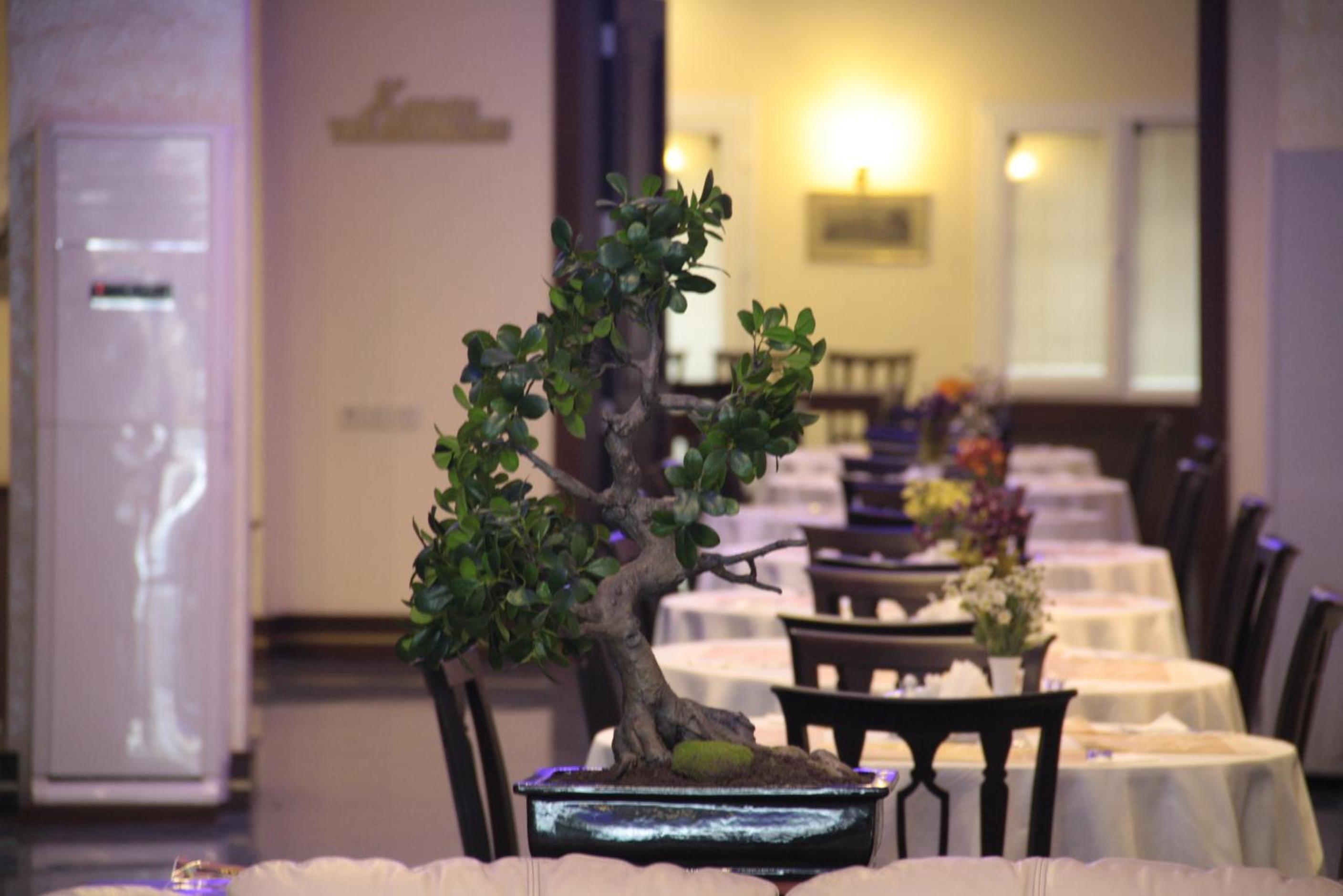 SUSUZLU SECKIN OTEL — IZMIR — fotografie hotel nr. 26
