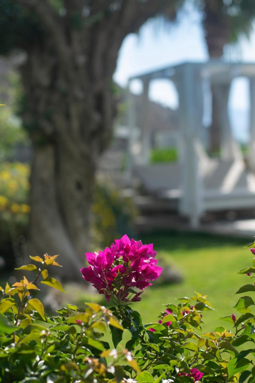 BODRUM INFINITY — BODRUM — фотография отеля №4