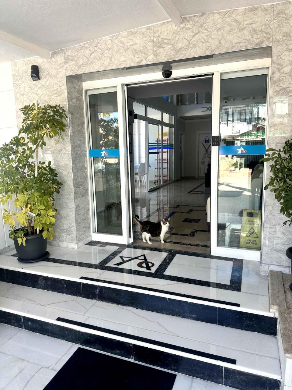 AMSTERDAM OTEL KEMER — KEMER — фотография отеля №6