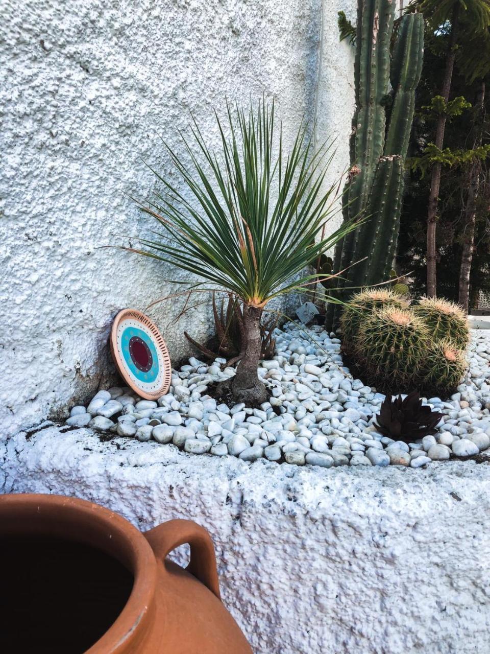 CONNYS BOUTIQUE HOTEL (ADULTS ONLY) — SIDE — fotografie hotel nr. 20