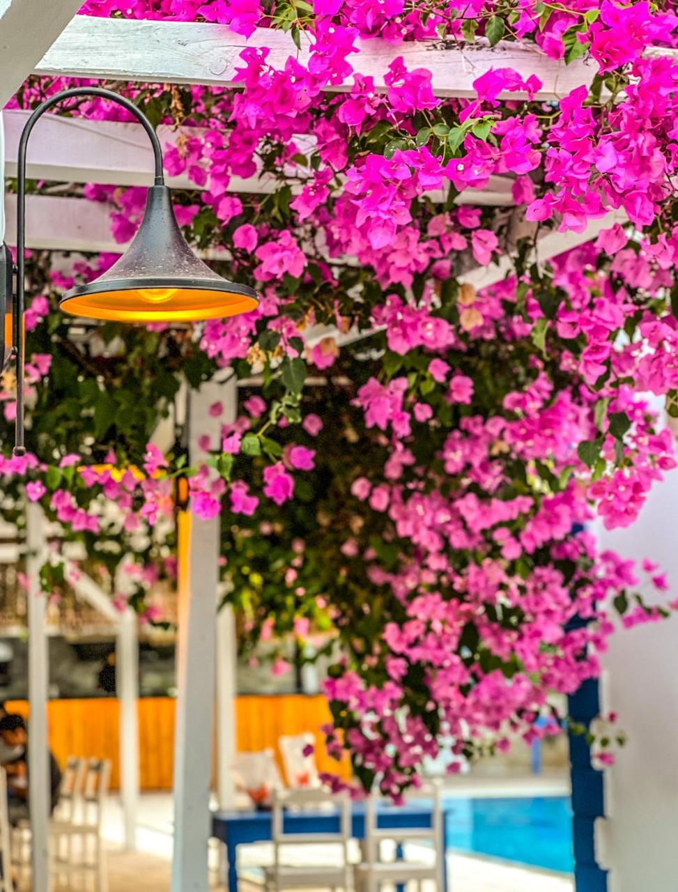 PINELOFT SELIMIYE — MARMARIS — фотография отеля №10