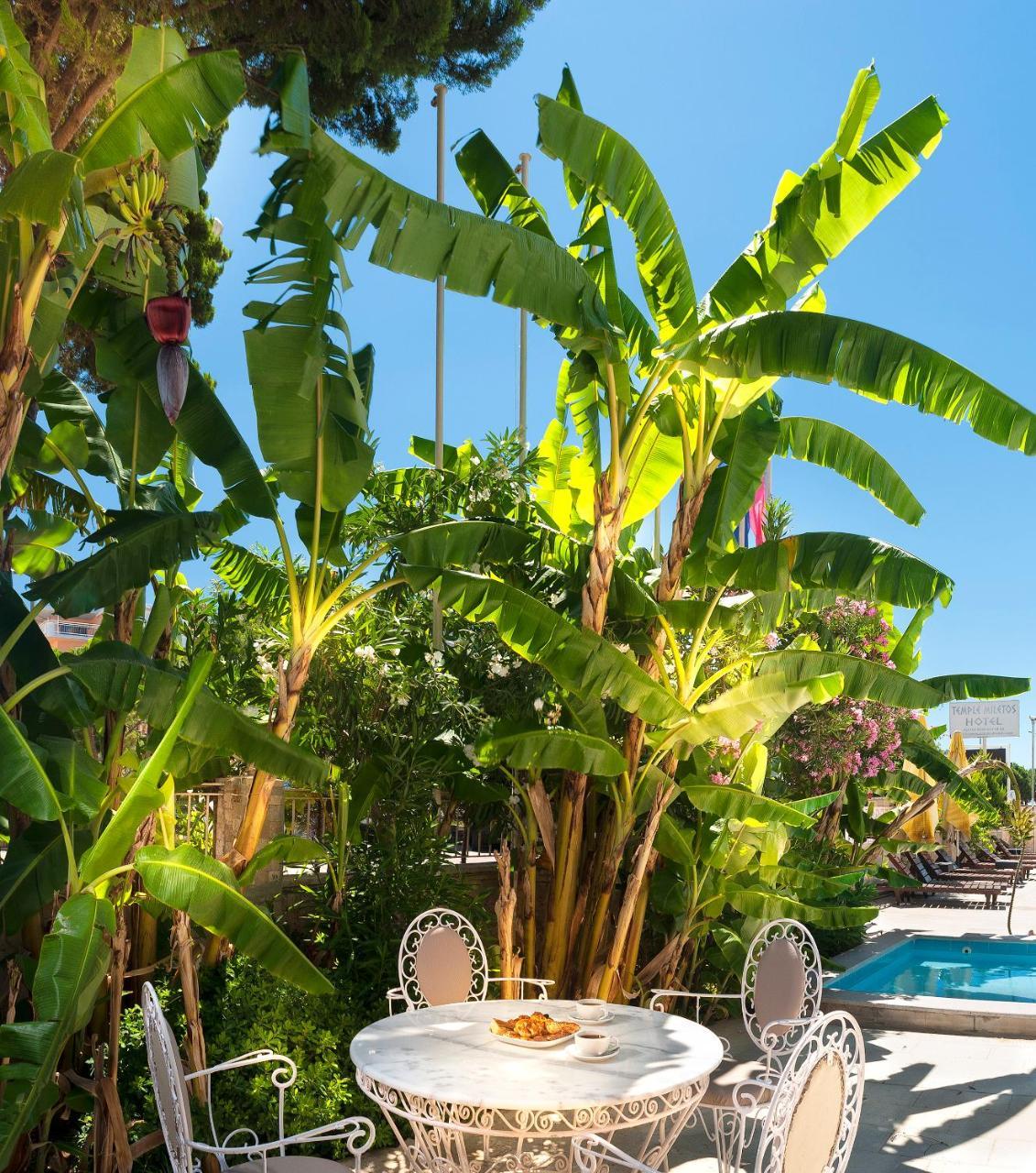 TEMPLE MILETOS SPA HOTEL — DIDIM — fotografie hotel nr. 24