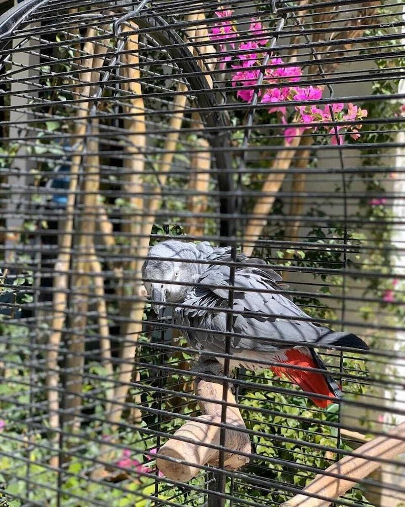 GREEN VALLEY BOUTIQUE HOTEL — KEMER — фотография отеля №19