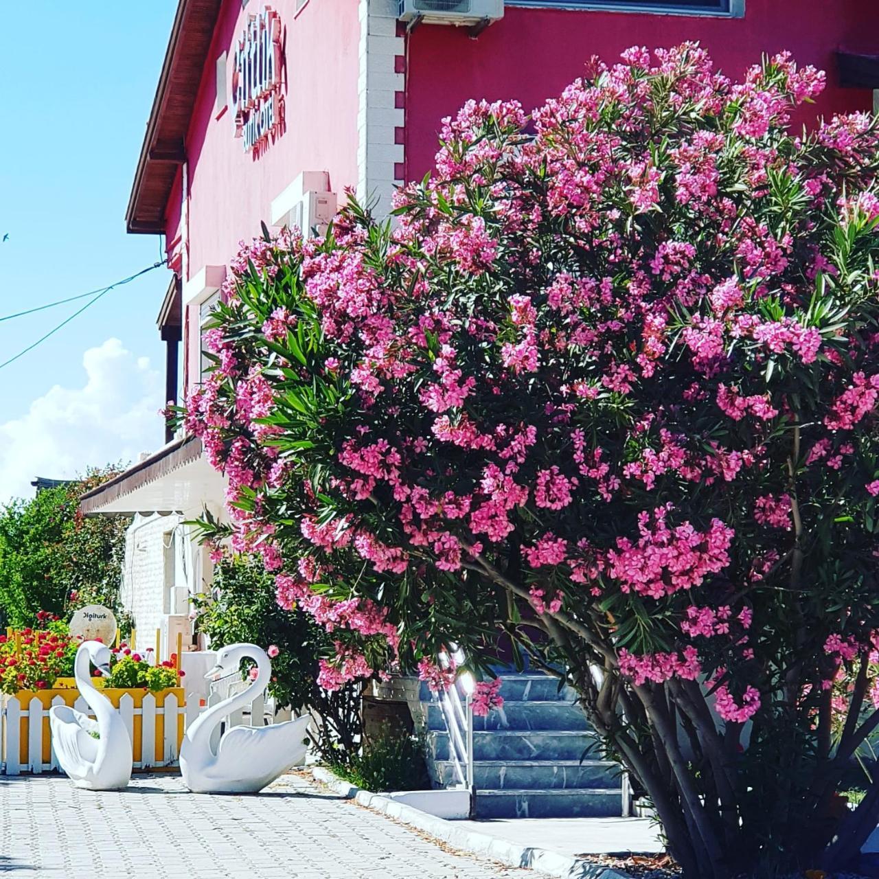 CIFTLIK BUTIK HOTEL — CESME — фотография отеля №8