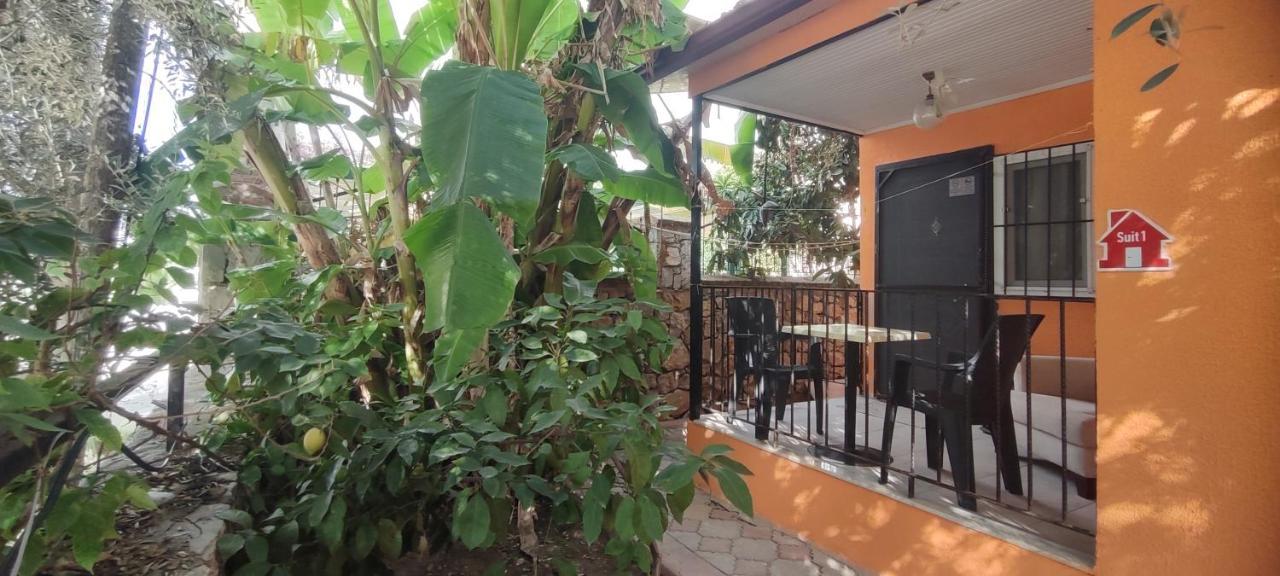 CILEKS APART HOTEL — FETHIYE — фотография отеля №8