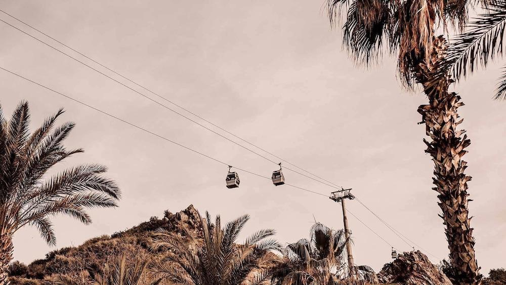 COOKS CLUB ALANYA (ADULTS ONLY) — ALANYA — fotografie hotel nr. 34
