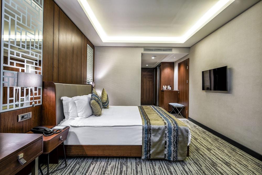 CLARION HOTEL GOLDEN HORN — ISTANBUL — фотография отеля №10