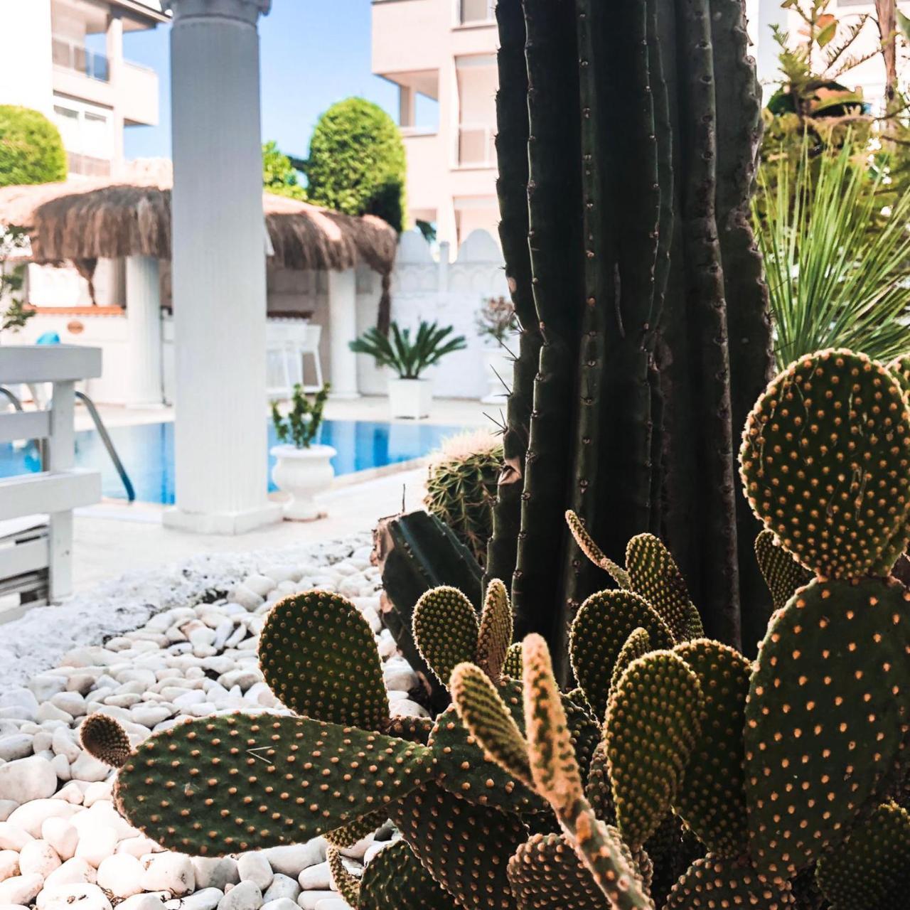 CONNYS BOUTIQUE HOTEL (ADULTS ONLY) — SIDE — fotografie hotel nr. 18