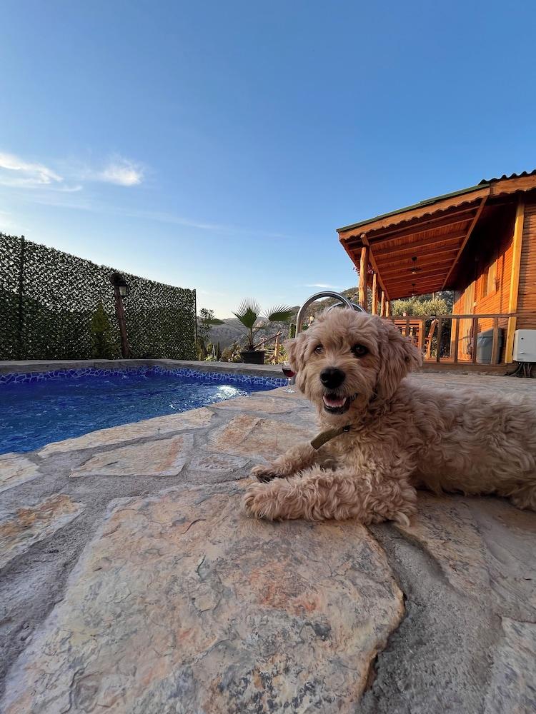 AFERA KOY EVI — MARMARIS — фотография отеля №28