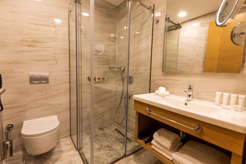 RADISSON HOTEL ISTANBUL HARBIYE — ISTANBUL — fotografie hotel nr. 21