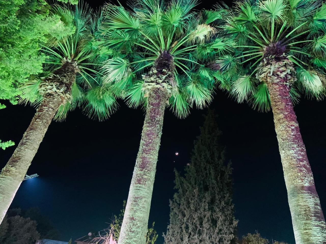 MARLA SUIT HOTEL — DIDIM — fotografie hotel nr. 22