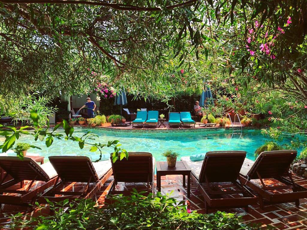 EL VINO — BODRUM — fotografie hotel nr. 17