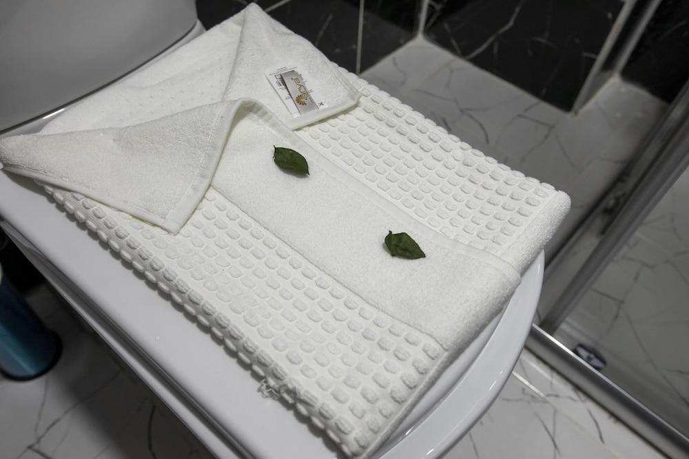 HOTEL MOUNT ARARAT — ISTANBUL — fotografie hotel nr. 24