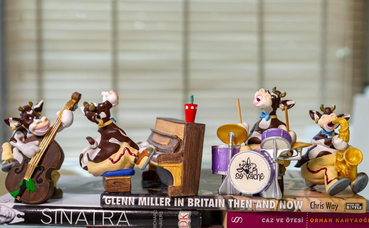 JAZZ — ISTANBUL — fotografie hotel nr. 21