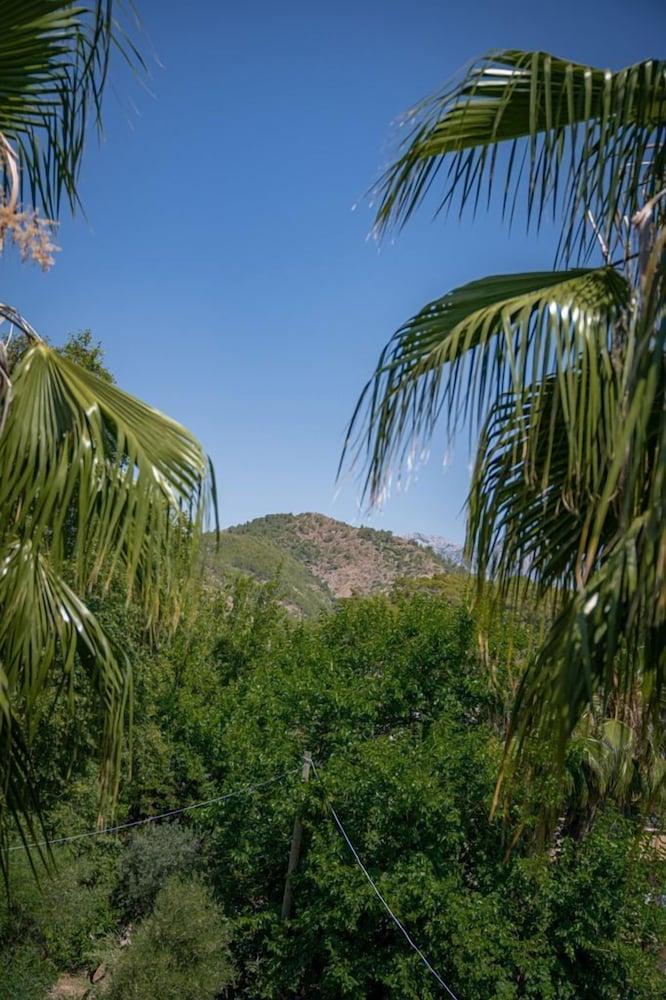 FELICITY HOTEL & BUNGALOWS — CAMYUVA — fotografie hotel nr. 27