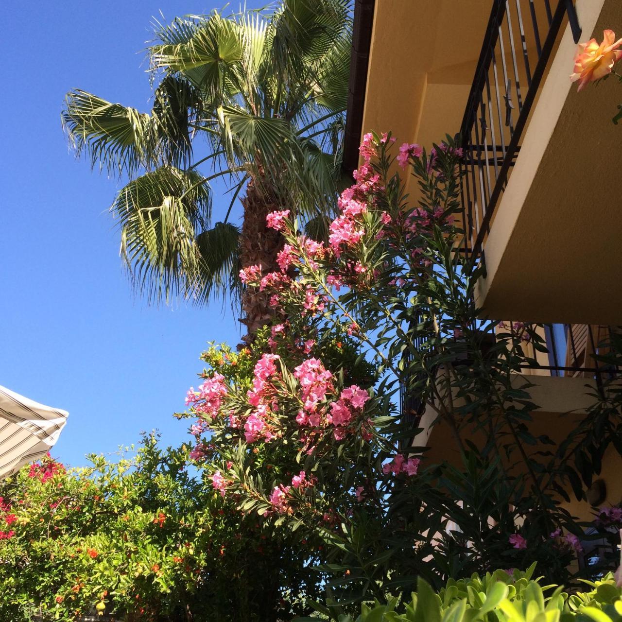 VILLA DANLIN HOTEL — GOCEK — фотография отеля №26