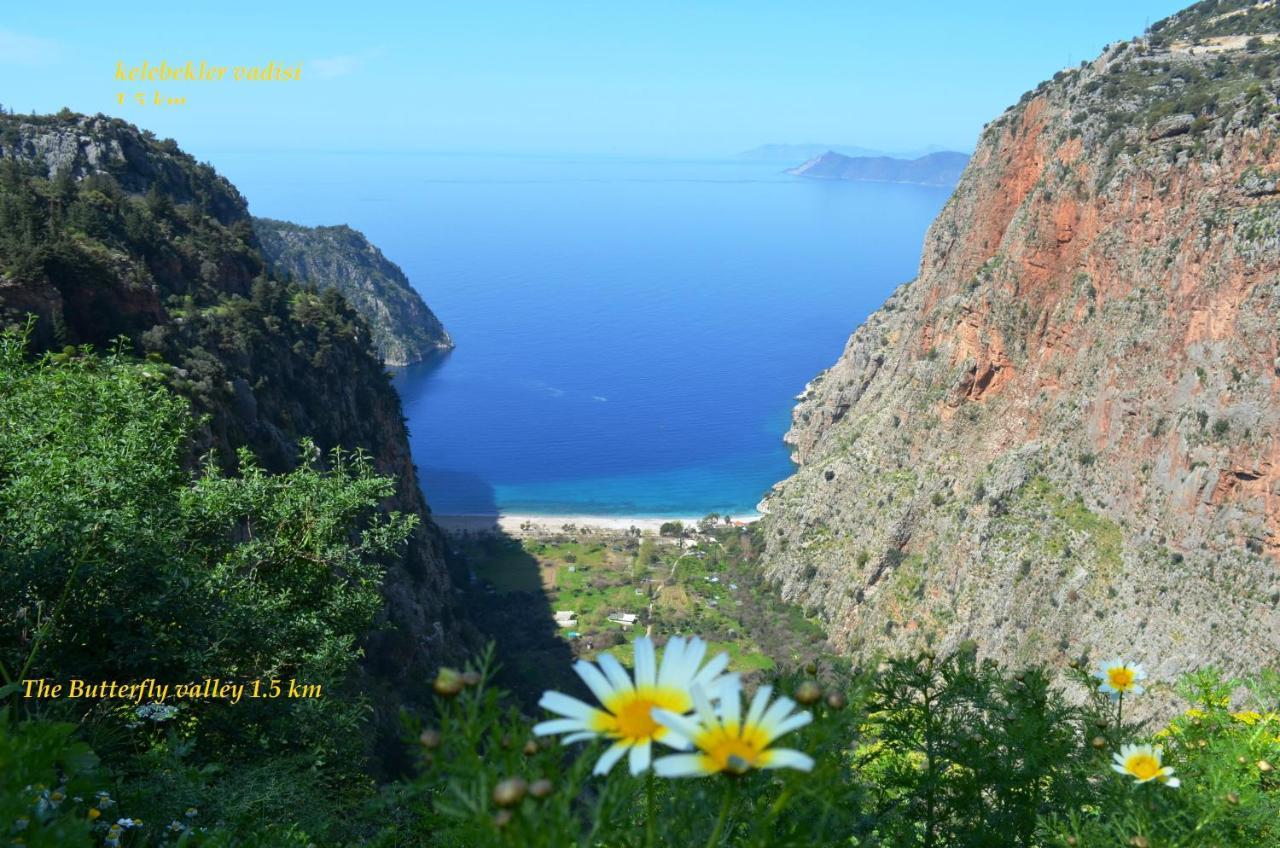 CILEKS APART HOTEL — FETHIYE — фотография отеля №24