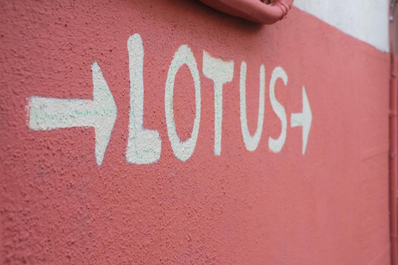 LOTUS GARDEN HOSTEL — IZMIR — фотография отеля №34