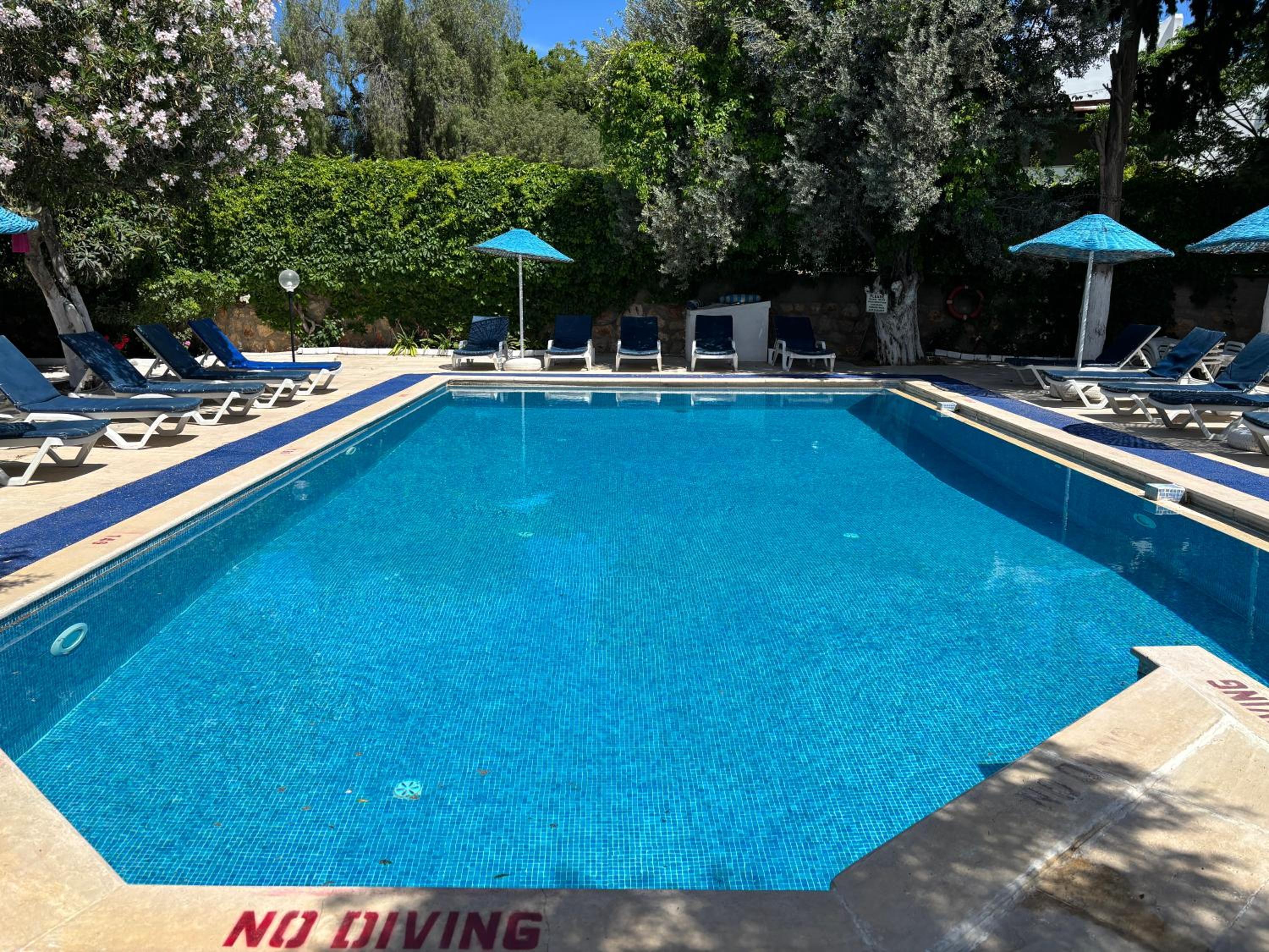 ALI BABA HOTEL — BODRUM — фотография отеля №20