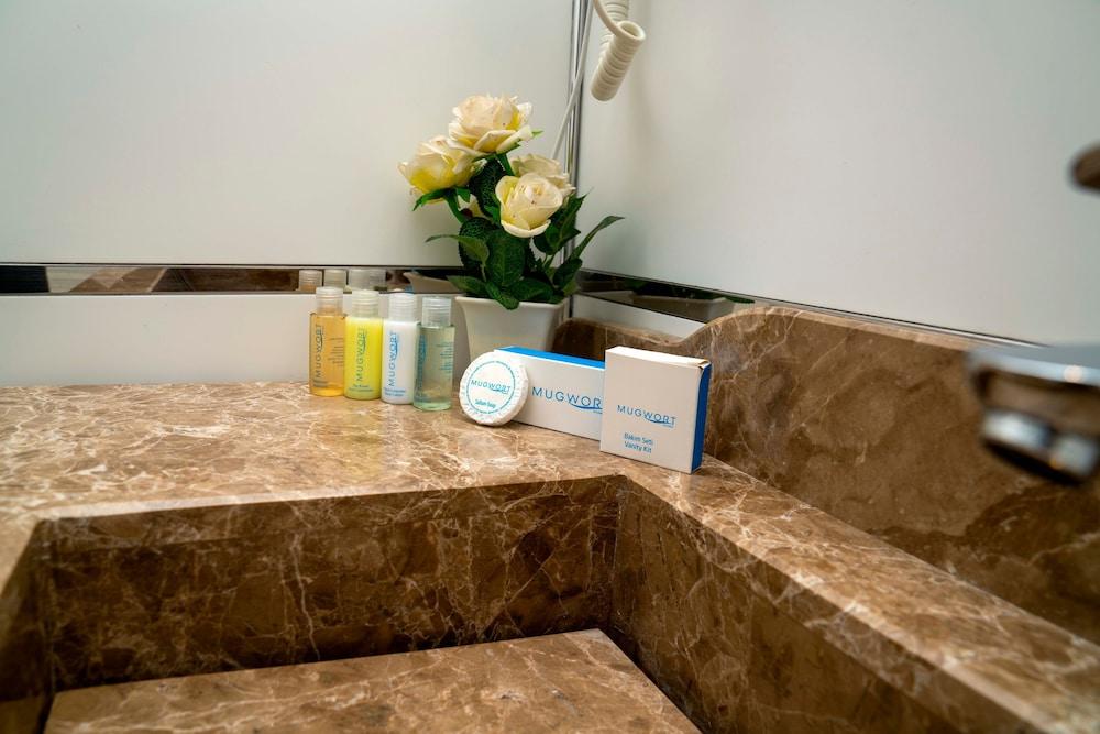 MUGWORT HOTEL & SPA — ISTANBUL — fotografie hotel nr. 28