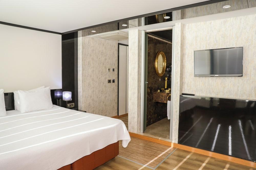 THE HERA PLATINUM HOTEL — ISTANBUL — fotografie hotel nr. 6