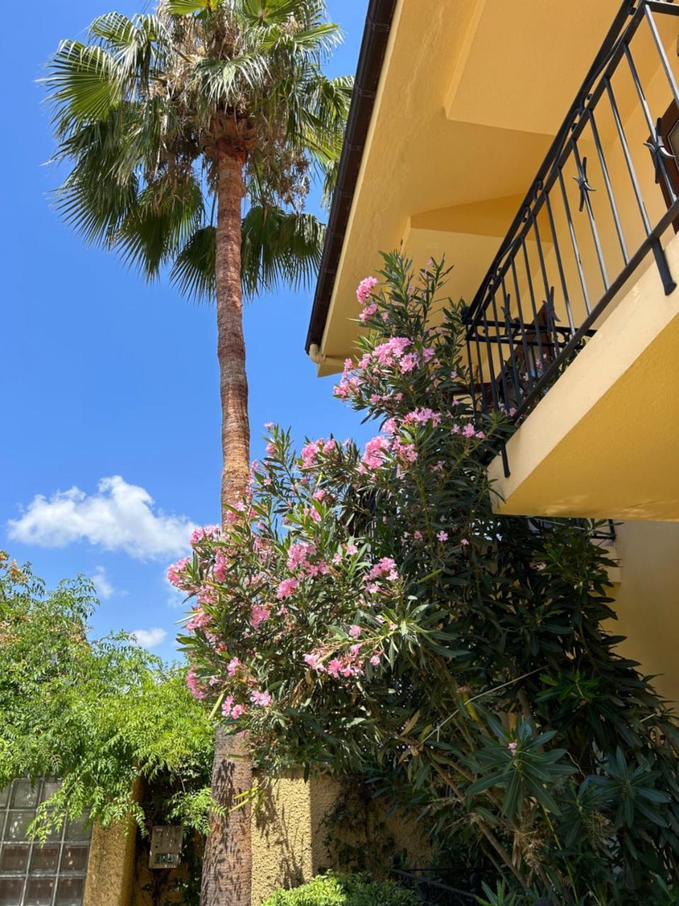 VILLA DANLIN HOTEL — GOCEK — фотография отеля №35